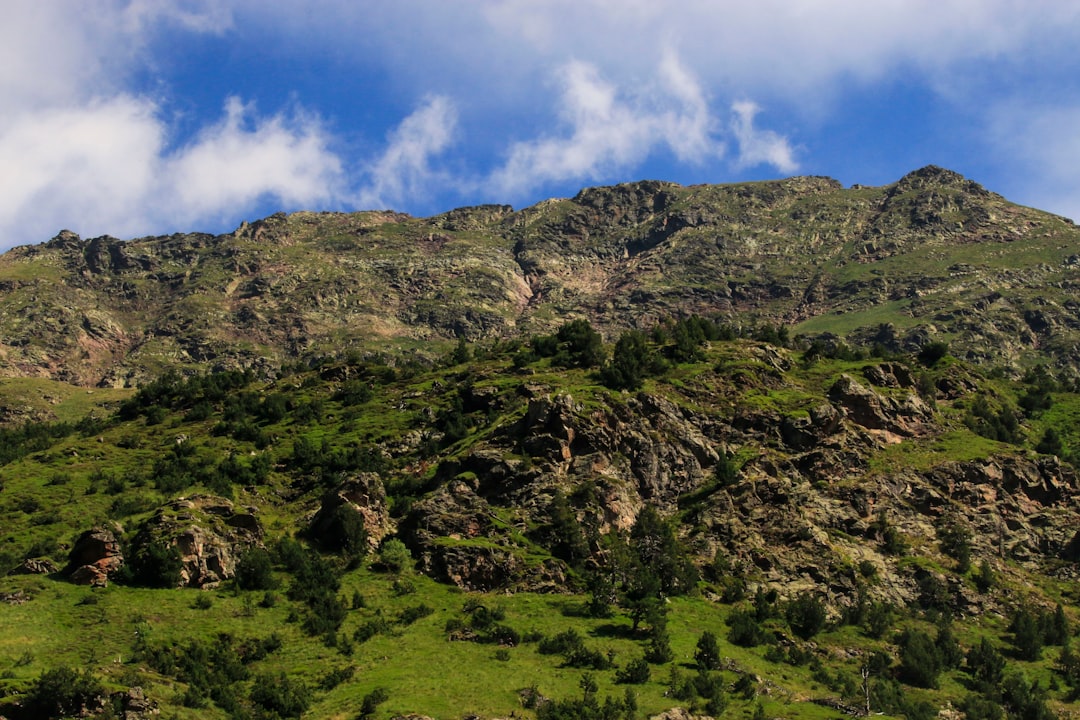 Ordino