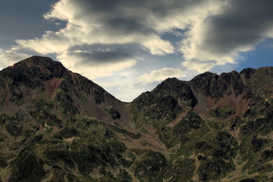 Ordino